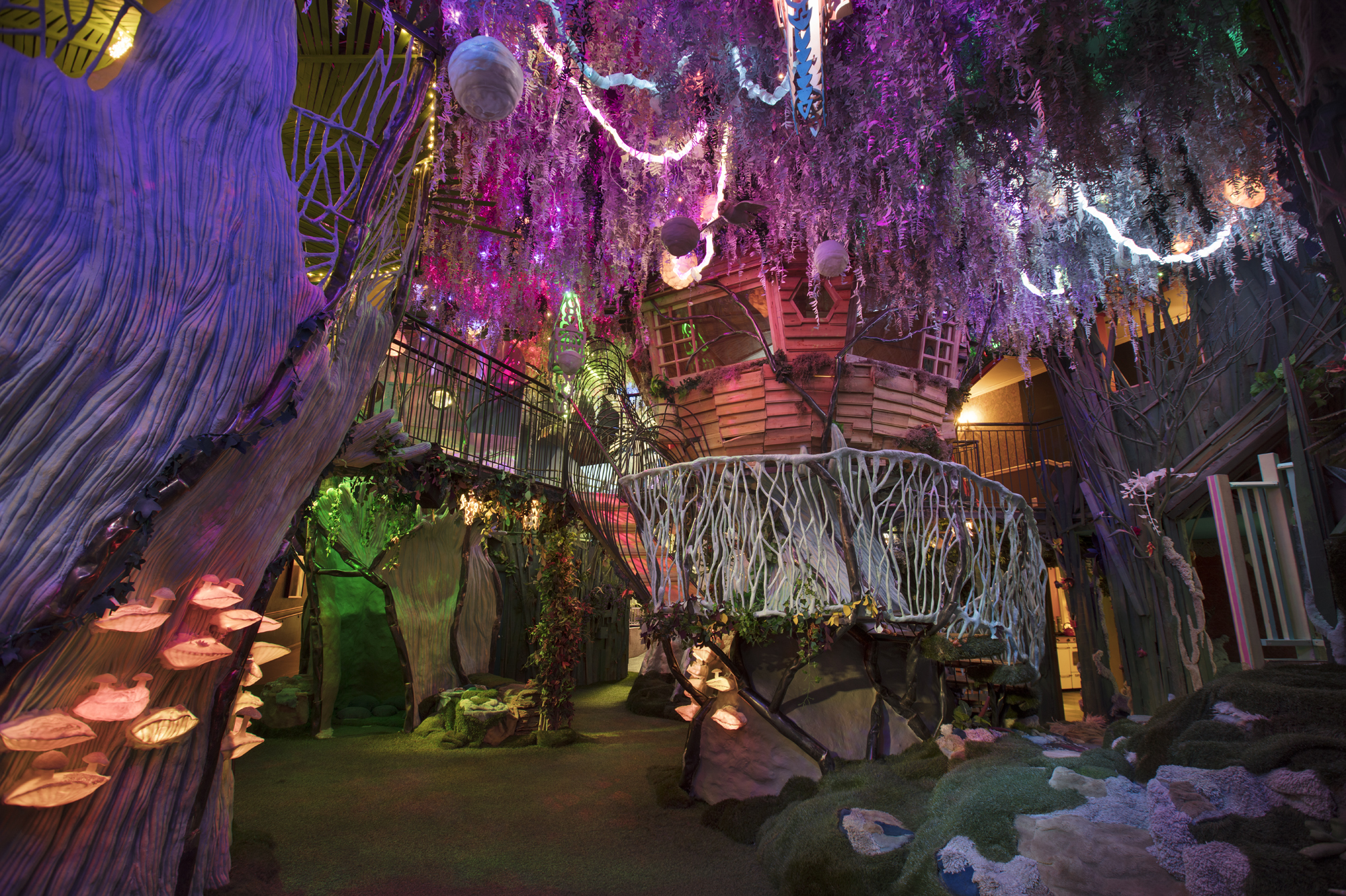 “The Forest, at House of Eternal Return in Santa Fe, NM. Photo by Kate Russell | Courtesy of Meow Wolf”